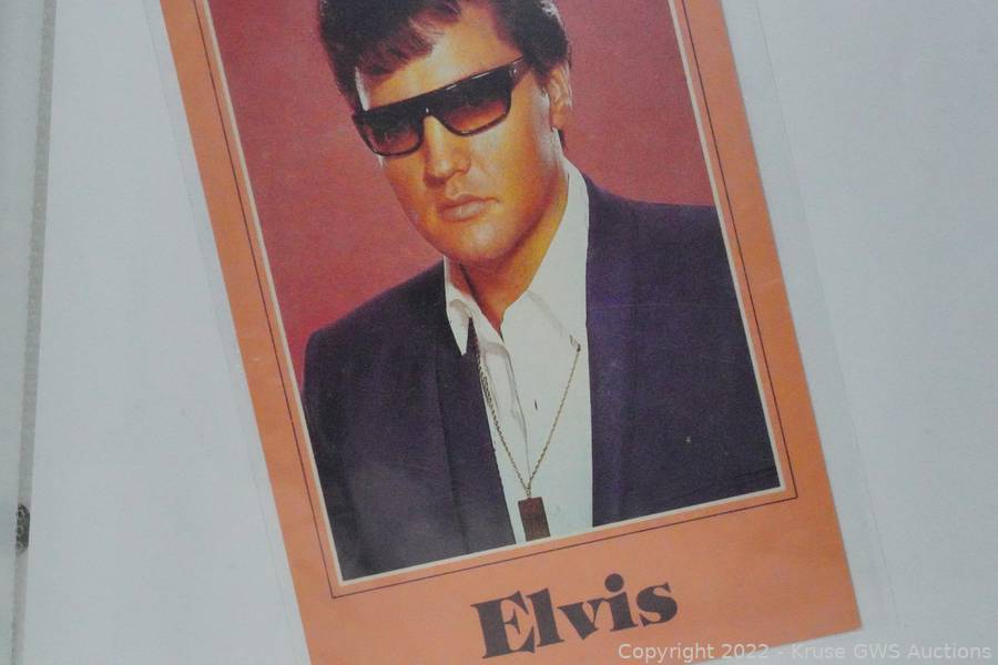 Elvis Presley's 1960s Derbi Dark Bronze Sunglasses
