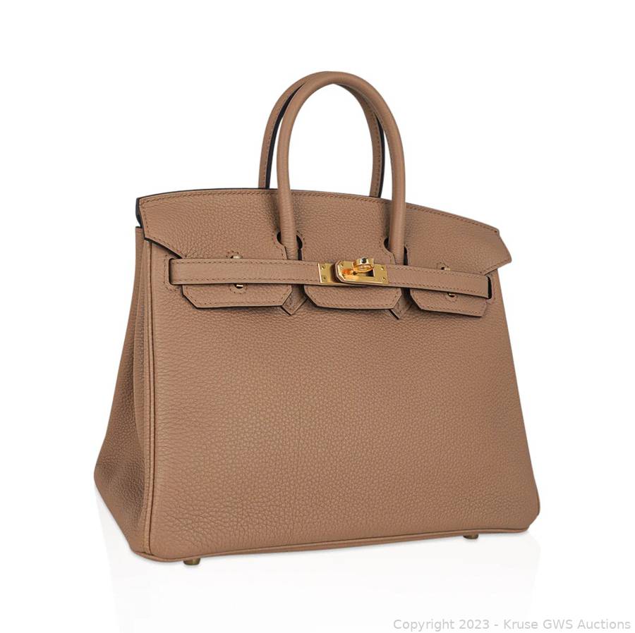 Birkin 25 Chai in Togo Leather with Gold Hardware