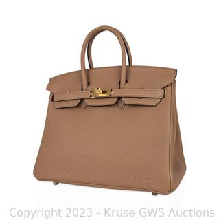 Hermes Birkin 25 Chai Togo Gold Hardware in 2023