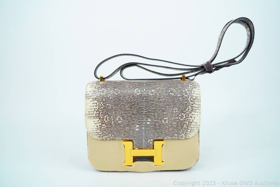 Sold at Auction: Hermes 2021 Shiny Ombre Salvator Lizard Constance Mini